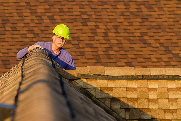 Roof Gutter Cleaning in Krum, TX